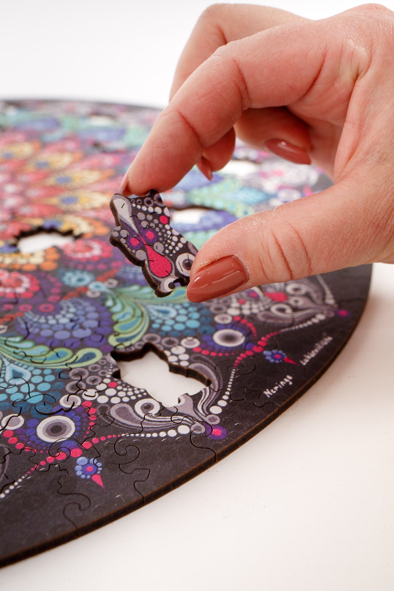 Mandala POVO PLUNKSNA